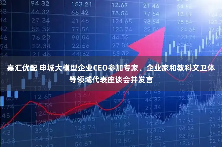 嘉汇优配 申城大模型企业CEO参加专家、企业家和教科文卫体等领域代表座谈会并发言