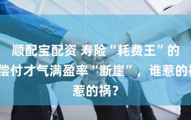 顺配宝配资 寿险“耗费王”的！偿付才气满盈率“断崖”，谁惹的祸？