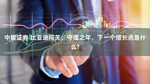 中银证券 比亚迪闯关：守擂之年，下一个增长点是什么?