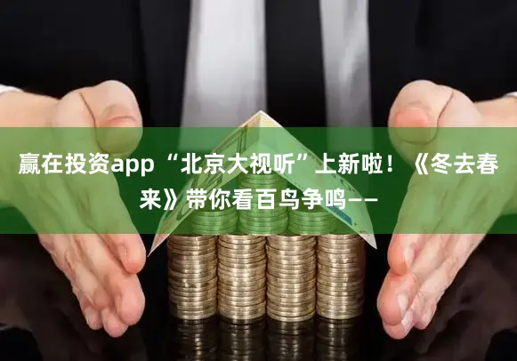 赢在投资app “北京大视听”上新啦！《冬去春来》带你看百鸟争鸣——