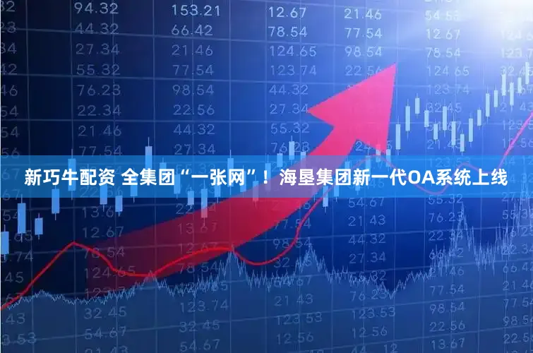 新巧牛配资 全集团“一张网”！海垦集团新一代OA系统上线