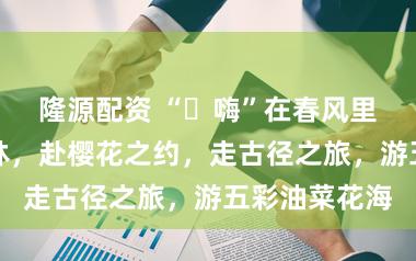 隆源配资 “嗨”在春风里丨来金山亭林,赴樱花之约,走古径之旅,游五彩油菜花海