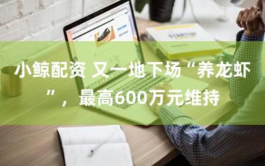 小鲸配资 又一地下场“养龙虾”，最高600万元维持