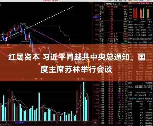 红晟资本 习近平同越共中央总通知、国度主席苏林举行会谈