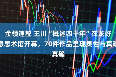 金领速配 王川“概述四十年”在龙好意思术馆开幕，70件作品呈现灵性与真确