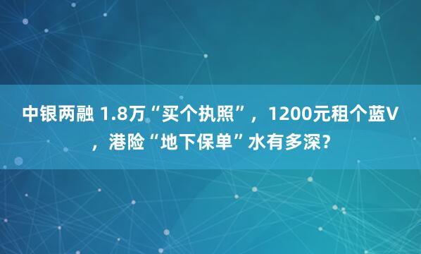 中银两融 1.8万“买个执照”，1200元租个蓝V，港险“地下保单”水有多深？